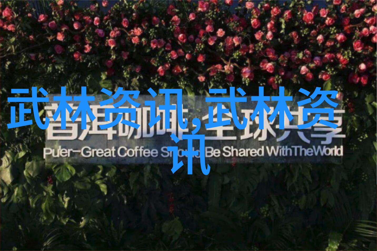 少儿散打武术一门融合健康与自卫的奇妙艺术吗