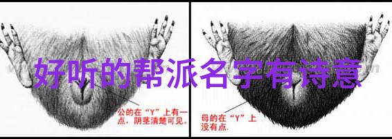 家中练习武术的详细指南武术学习在家