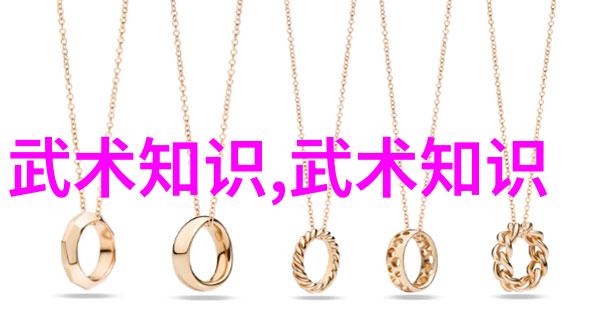 对于想要成为一名优秀传承者来说怎样才能更好地掌握一家特定的小型或较少知名的湖南省级武学流派呢