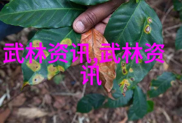 中华武学之巅探秘中国最著名的武术流派