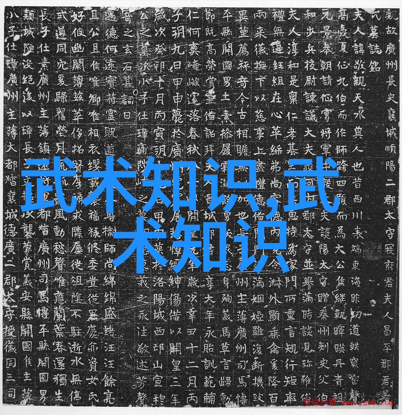 生态平衡-森林的规则兔子必需死