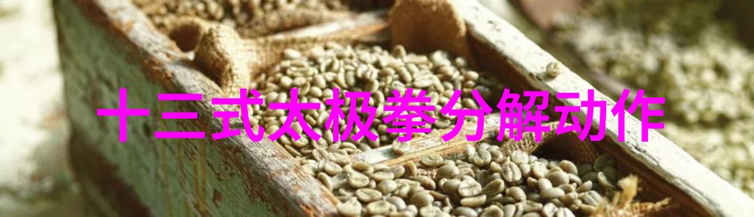 陈海鹤的太极松武功自学教学视频中的物品体悟