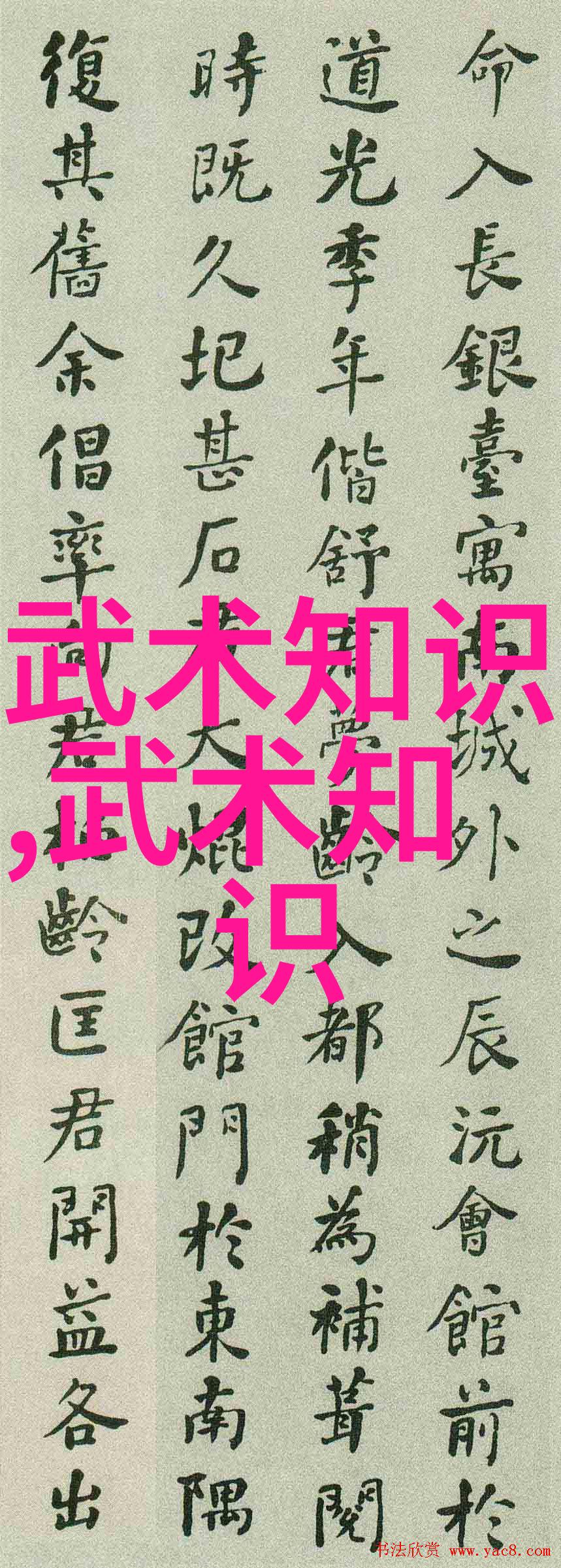 夏日自然之美比基尼游泳衣下的游泳乐趣