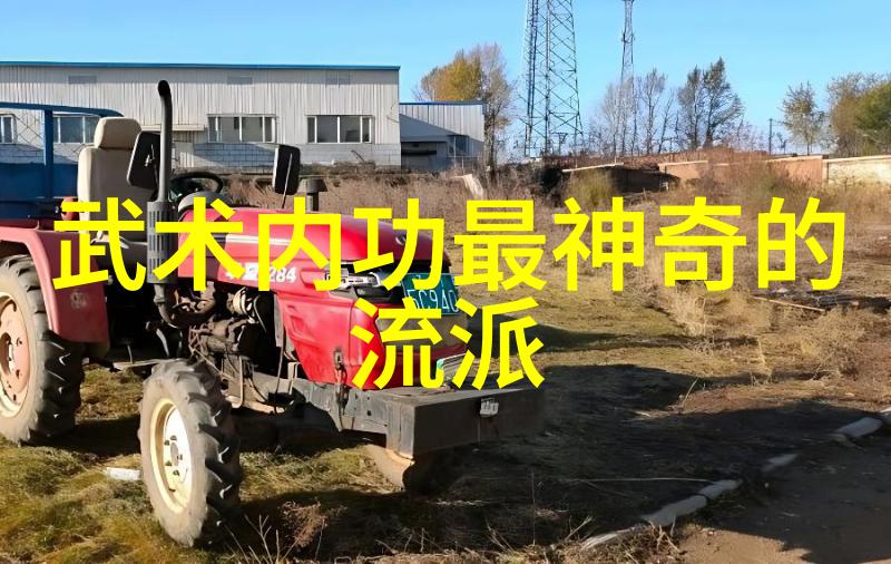 在哪个带诗意的帮派名字中开门八极拳成为了传统之光