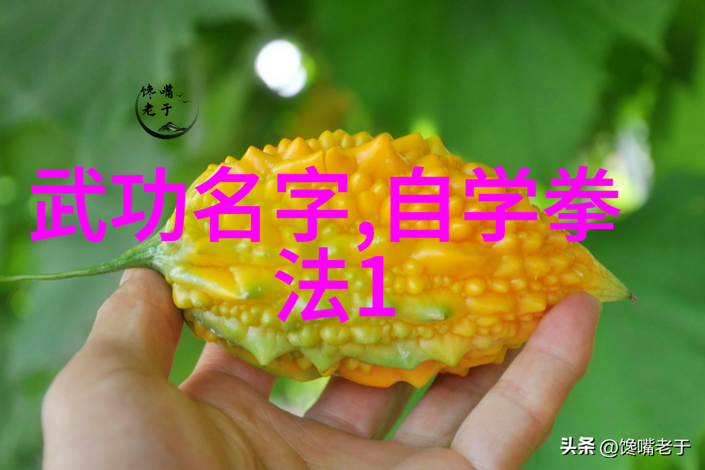 古风帮派名录古色古香的帮派名字大全