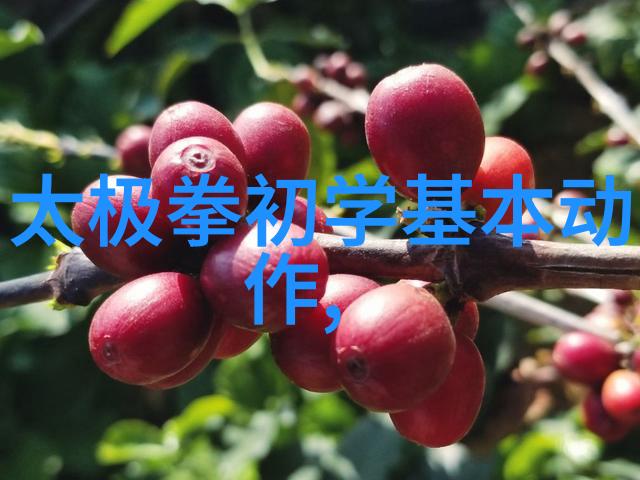 短视频时代下的创意爆发小东西的日常制作与观众的期待