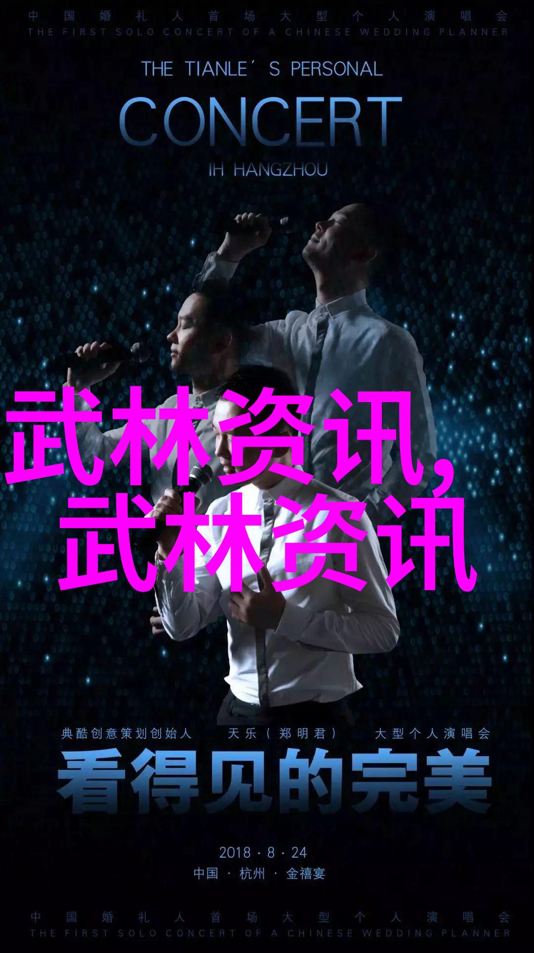 南拳和华拳哪个厉害我亲眼看过的那场风雨交加的决斗