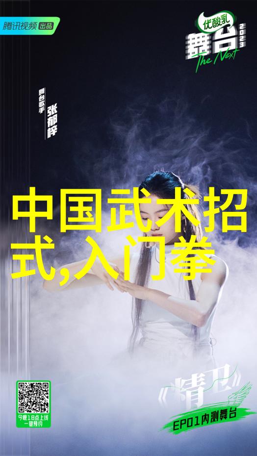 中国武术的丰富多样揭秘拳法的千姿百态