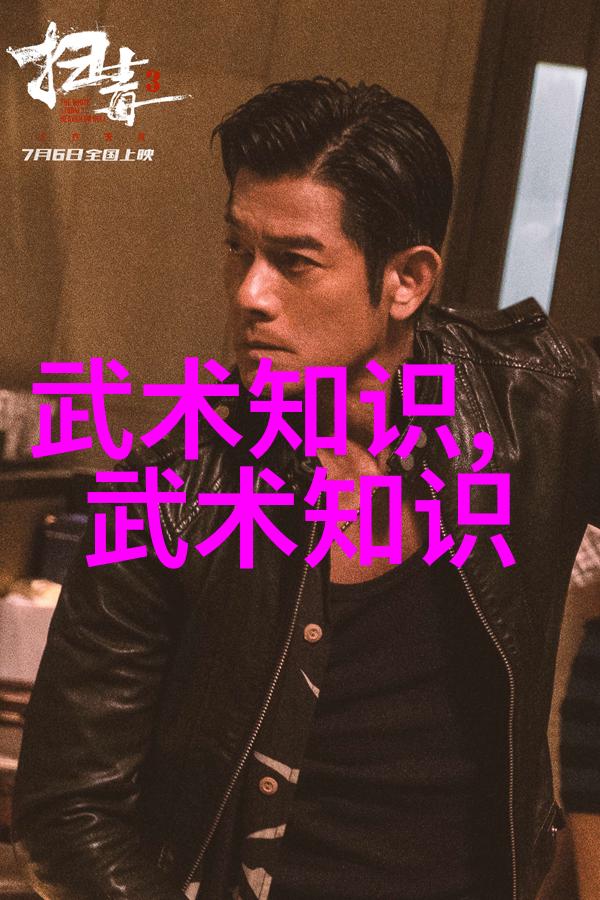 太极拳24式自学图解揭秘内外八卦的舞蹈之美