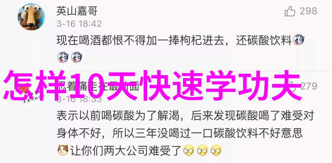 武功自学教学视频的艺术与实用性探究
