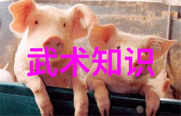 武林秘境江湖门派的神秘面纱