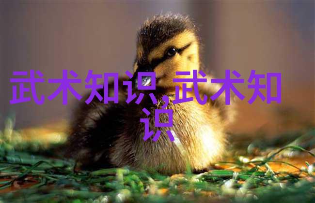 邱慧芳指引24式太极拳全套教学深度解析