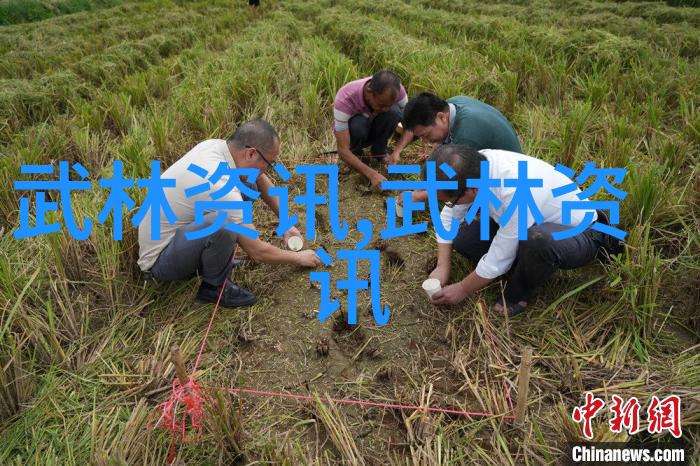 探秘上古八大仙境揭开神话中的奇迹与秘密