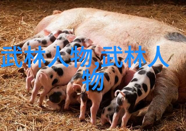 武艺高超深入研究实战性极强的传统拳法