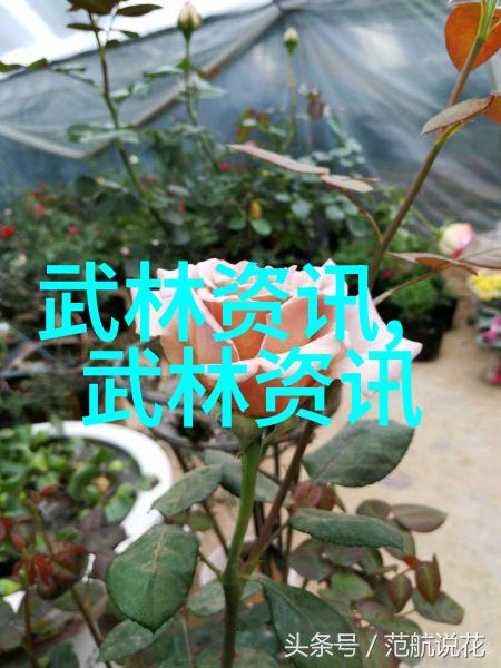 高尔夫球场图片绿茵对决PGA锦标赛拉姆舍夫勒两强再现巅峰对峙众多高手争先恐后寻求首胜之机