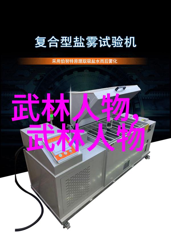 刀光舞影中的武林高手