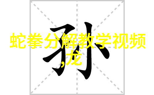 拳法秘籍解密揭秘武林中最隐秘的击打技巧