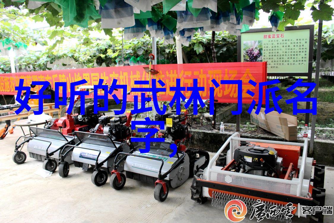 武林秘密组织会武术人士是不是总是在操控背后