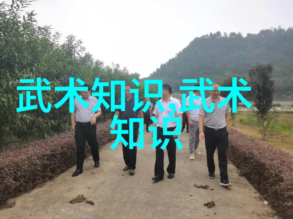 灵魂缓刑by 二团书生我和二团书生的那场灵魂缓刑