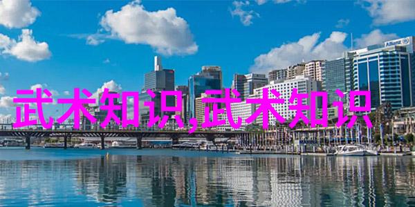 少林武功秘籍大全 - 探秘古老佛门内家拳之精髓