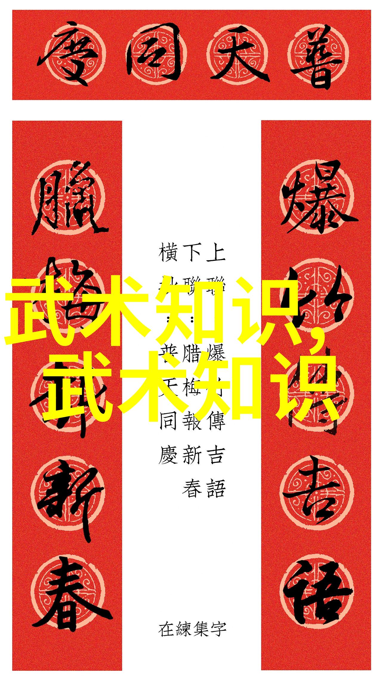 武林秘籍内家拳法古老的内功心法