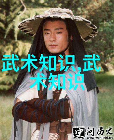 秘传拳谱破晓之谜