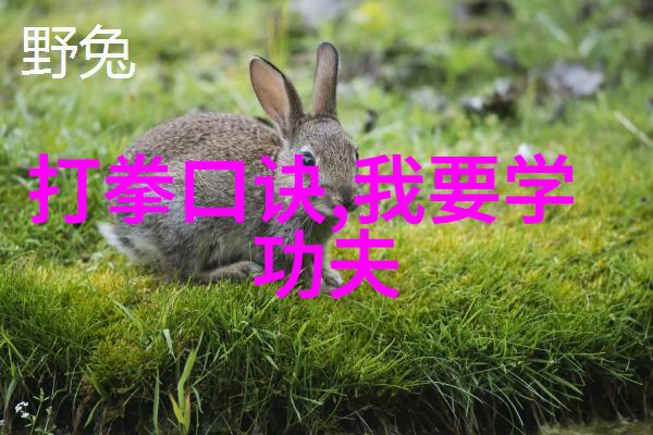 五绝诗词文人墨客的艺术追求