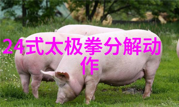霸气十足的帮派名字乾坤门拳风震撼天地