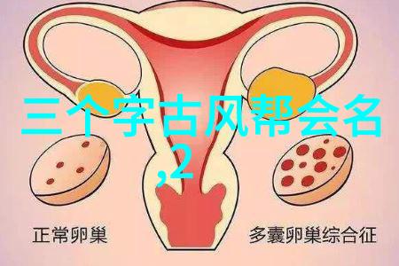 武林门派之争寻找最强的传承者