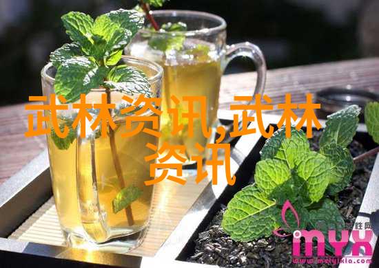 中国武术的丰富传统与实践探索现存门派的独特魅力