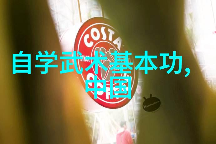 探索武术之道最佳年龄的选择与启蒙