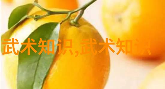 探索32式太极拳之奥秘拳谱全套分解的谜团是什么