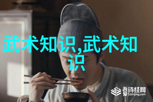 太极功夫秘籍我如何学会了老传授的那套招式