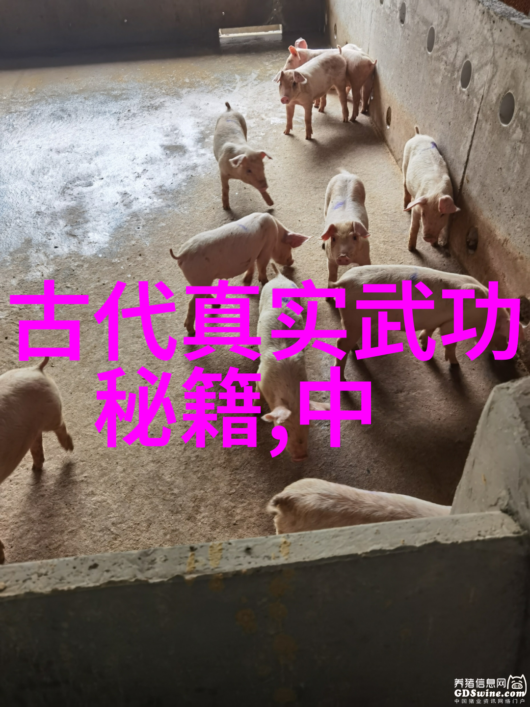 太极拳身气意习练述要在自然之境-程元江