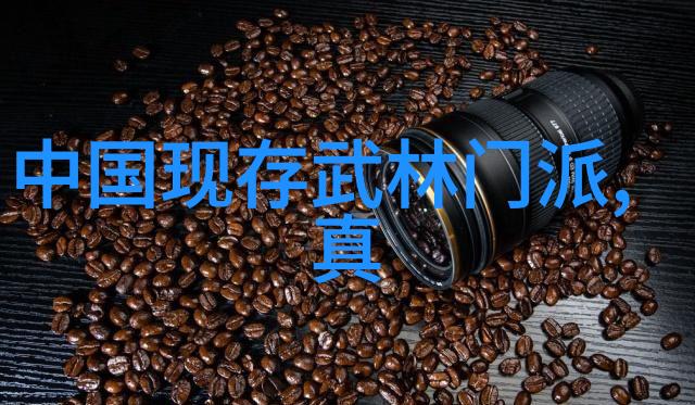 全球十大帮派我揭秘那些隐藏在黑暗中的王者