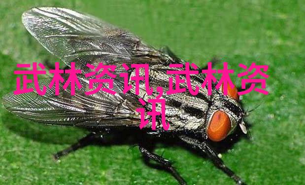 能把人笑死的公会名哈哈笑声穿梭我如何加入了让每天都像节日一样的傻瓜联盟