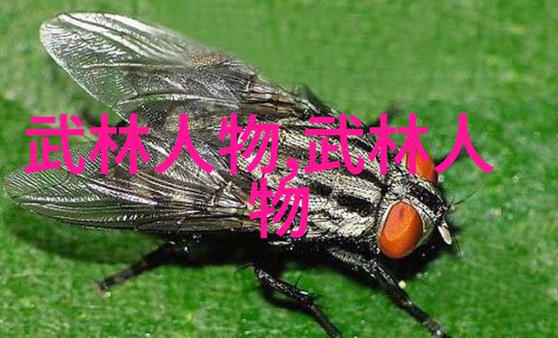 年轻的火花18岁女RAPPERDISSSUBS的美国梦