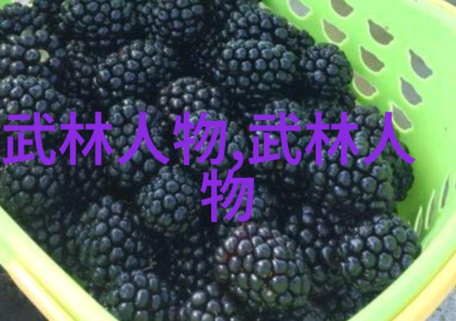 武侠世界-屠龙记中的二十一门派纷争史