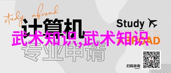 轻功飞翔的秘诀-揭秘轻功之道如何练就翱翔九天