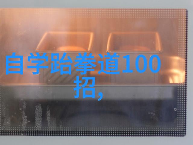 中国武术之冠古老功夫的传承与光芒