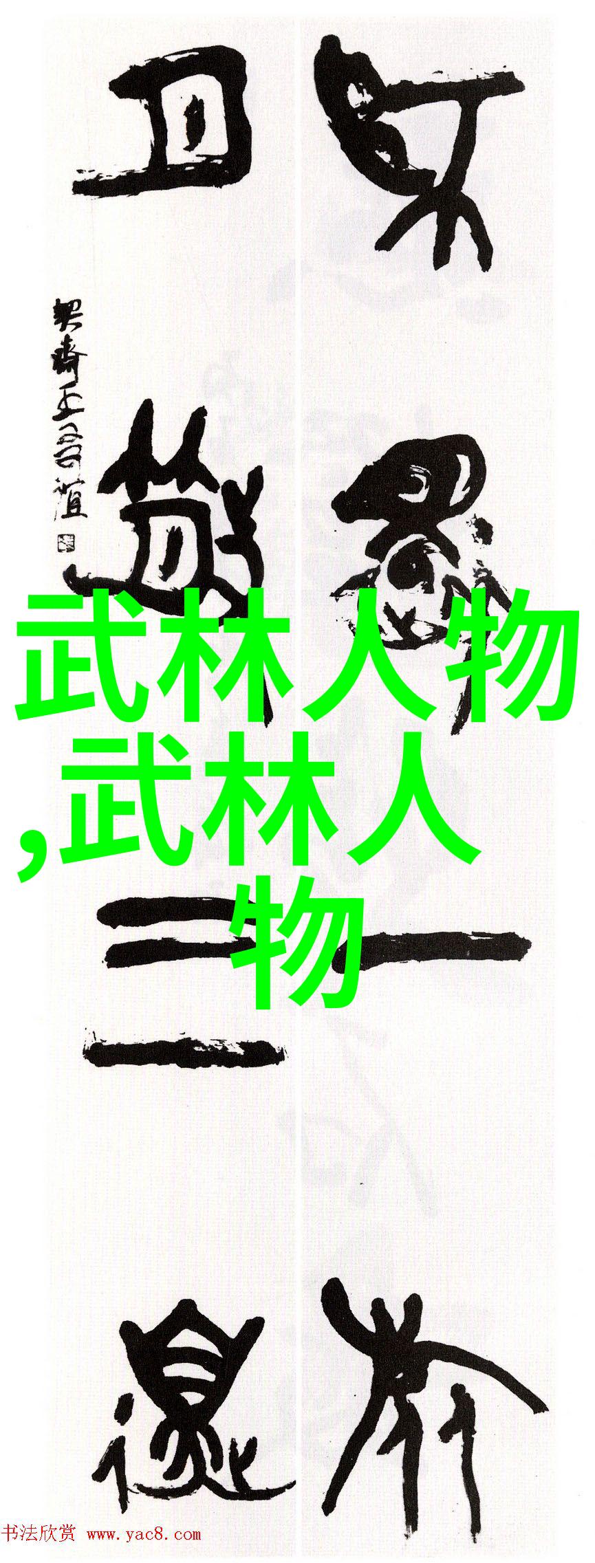 画说中华武学武林秘籍招式大全带图的精彩绘解