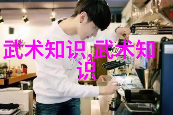 轻功飞翔的秘密如何练习让身躯如同燕子般自由翱翔