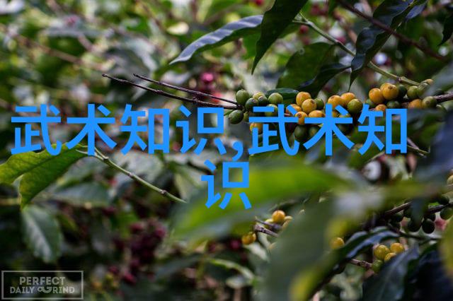 武林绝学传承揭秘功夫秘籍教学之谜