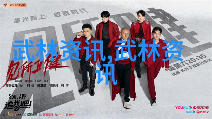 中国功夫有什么拳法武氏家传太极拳中还有六种套路未被广泛外传孙建国为我们揭秘