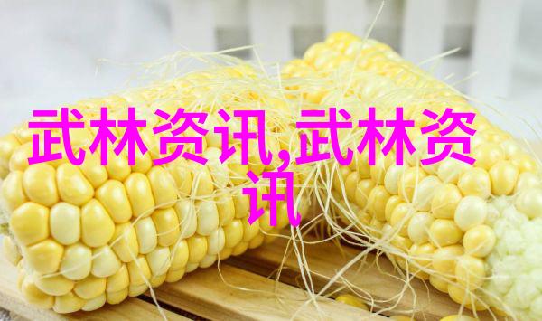 太极功夫秘籍研究解读内丹修炼与气功实践的深层学说