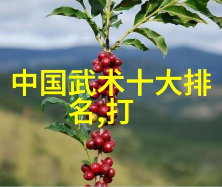武学探究-身法秘籍解密揭秘古老内功的奥秘