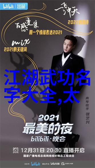 太极拳24式动作分解教程掌握内外合一的练习秘诀