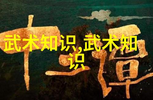 古代武术的精髓内功与外形的统一训练