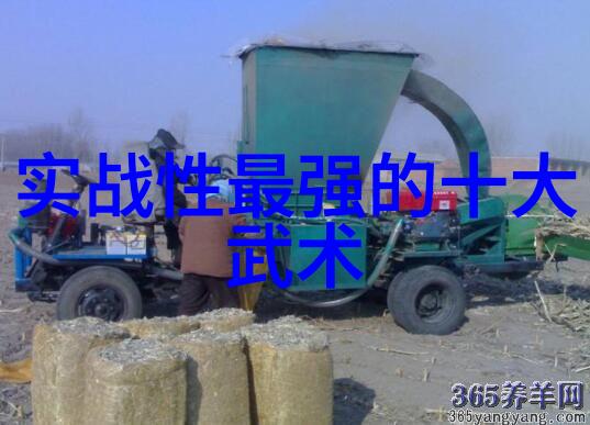 孙杨与朴泰桓腹肌秀出网友调侃游泳能减肥社会关注点聚焦于这场意外的对话