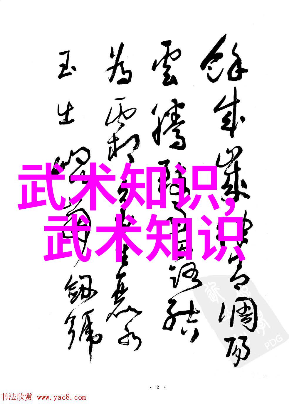 颜狗by阿阮有酒探索一段时光的色彩与味道
